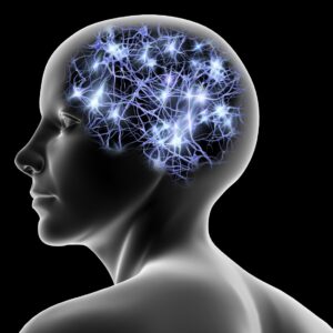 Memory, Focus, and Concentration